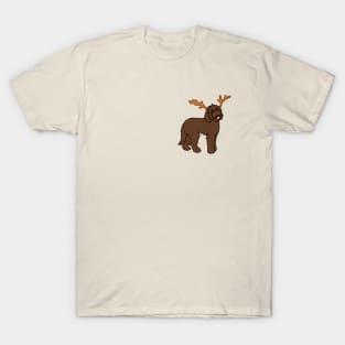 Labradoodle Reindeer T-Shirt